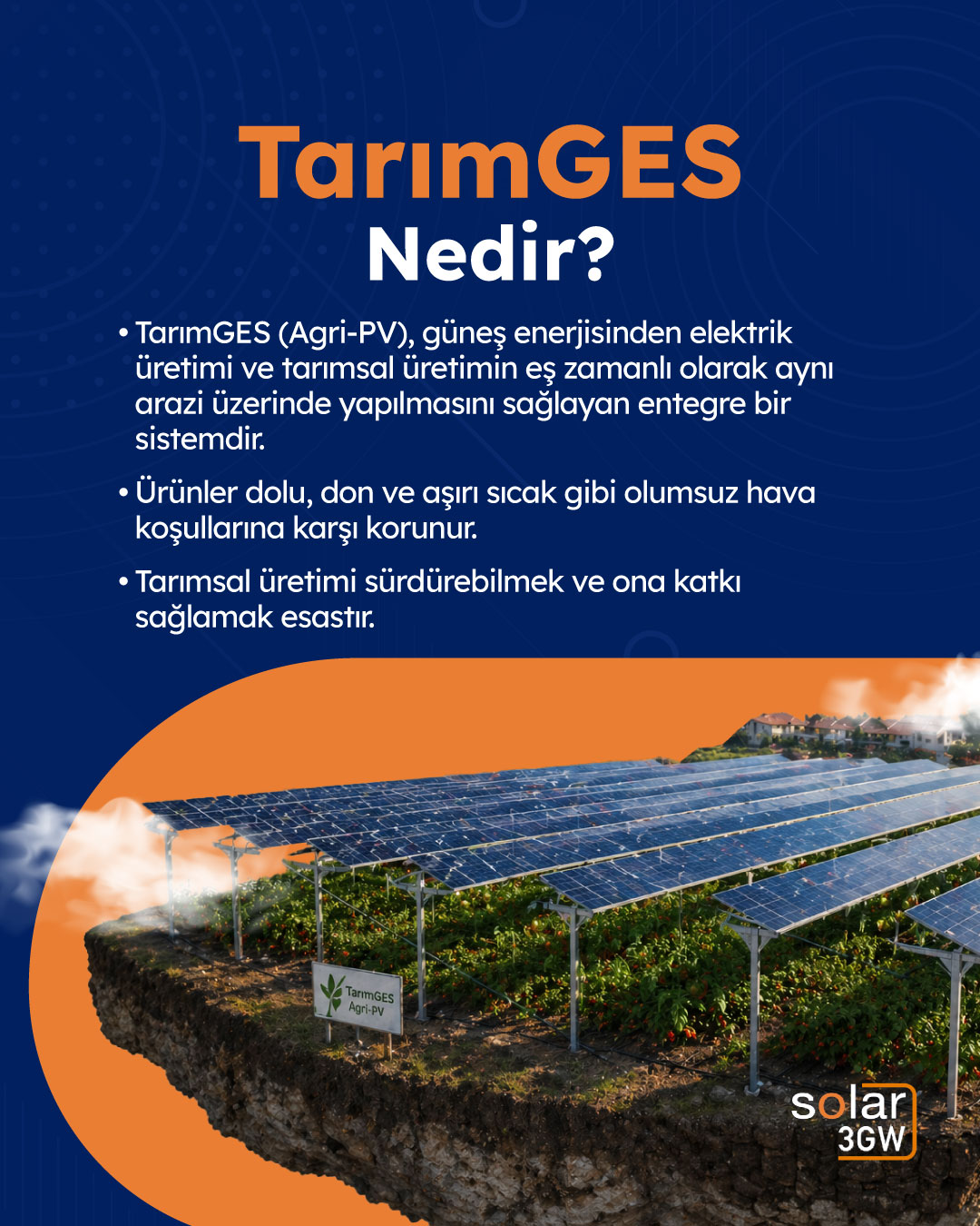 TarımGES nedir - güneş panelleri altında tarım arazisi