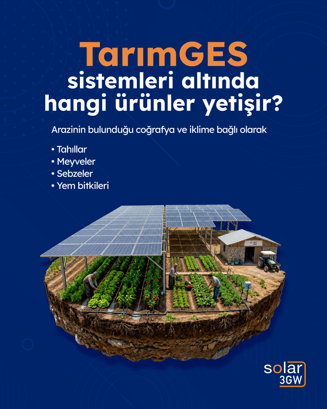 TarımGES sistemleri altında yetişen ürünler